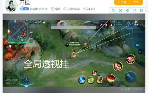 王者荣耀玄鸟辅助